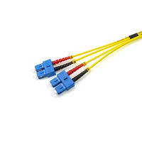SC DX 2.0 3.0mm custom fiber optic patch cord